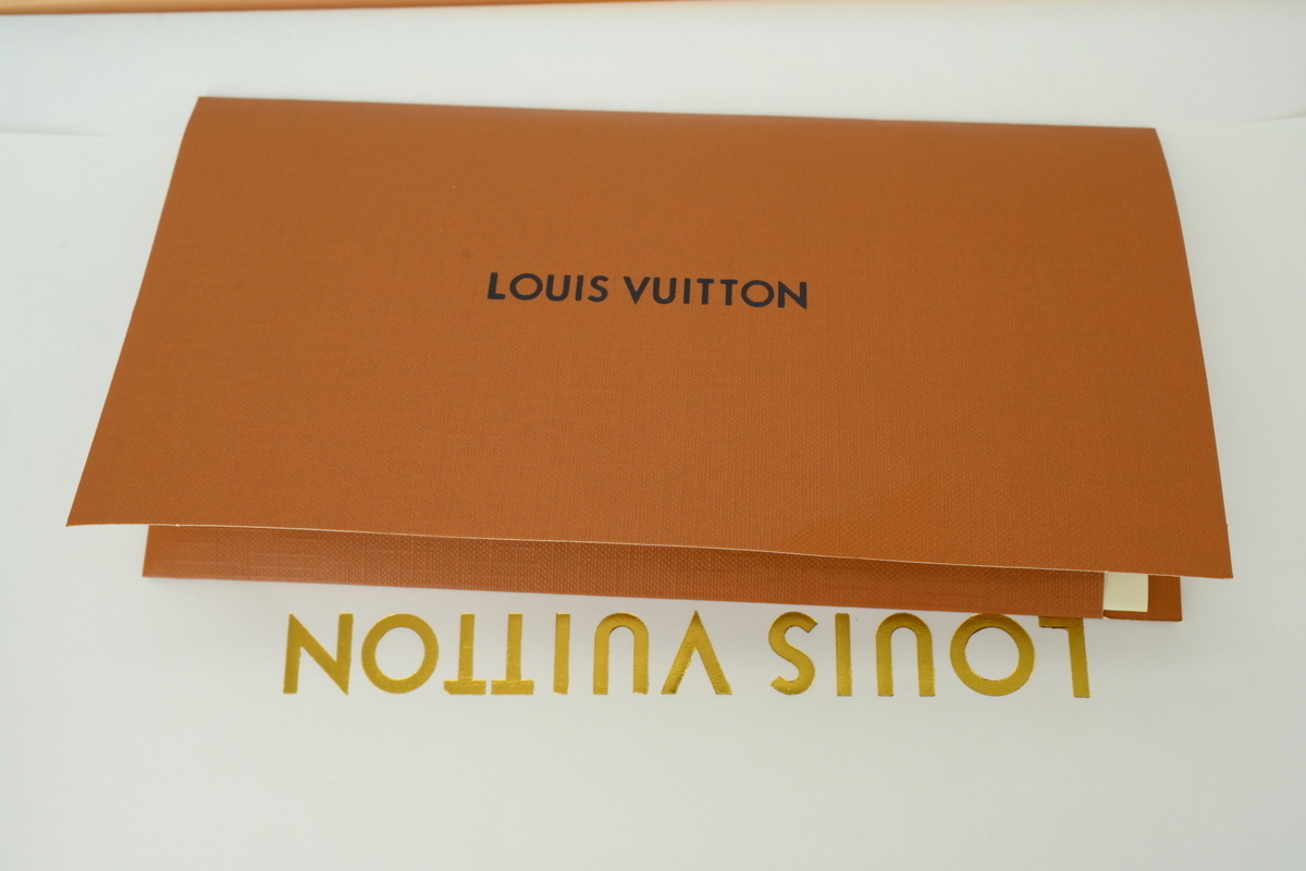 Louis Vuitton LV Skate Sneaker White Coffee