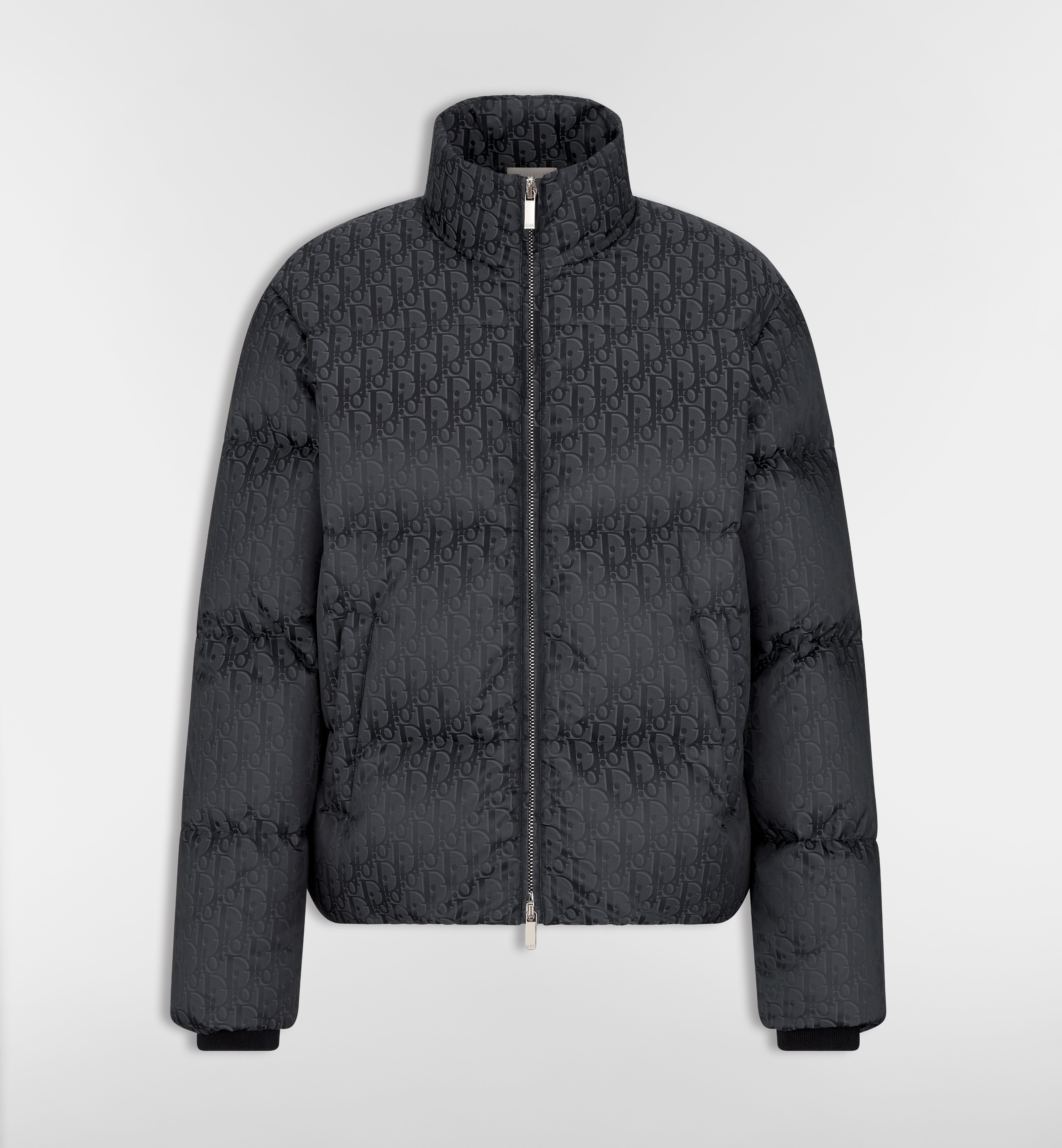 Dior Oblique Down Jacket