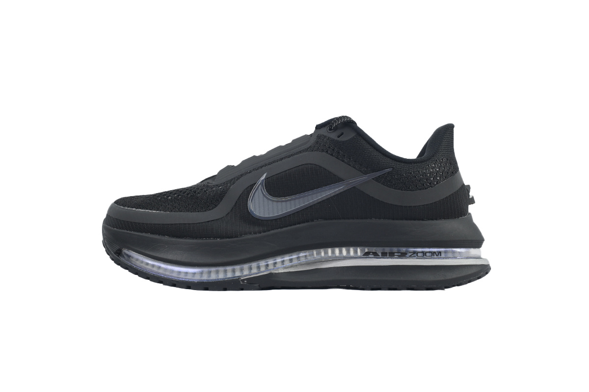 Air Zoom Pegasus Premium Black Metallic Silver HQ2592-005