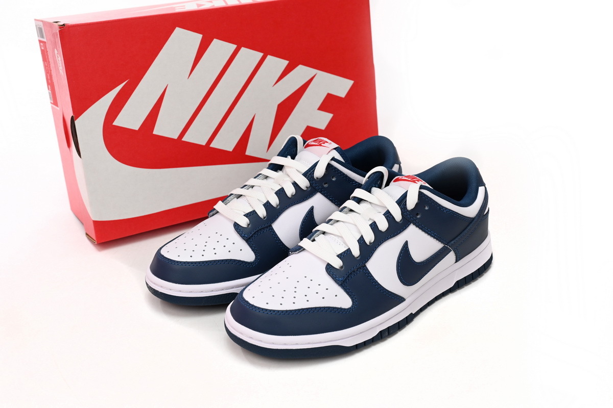Nike Dunk Low White Indigo DD1391-400