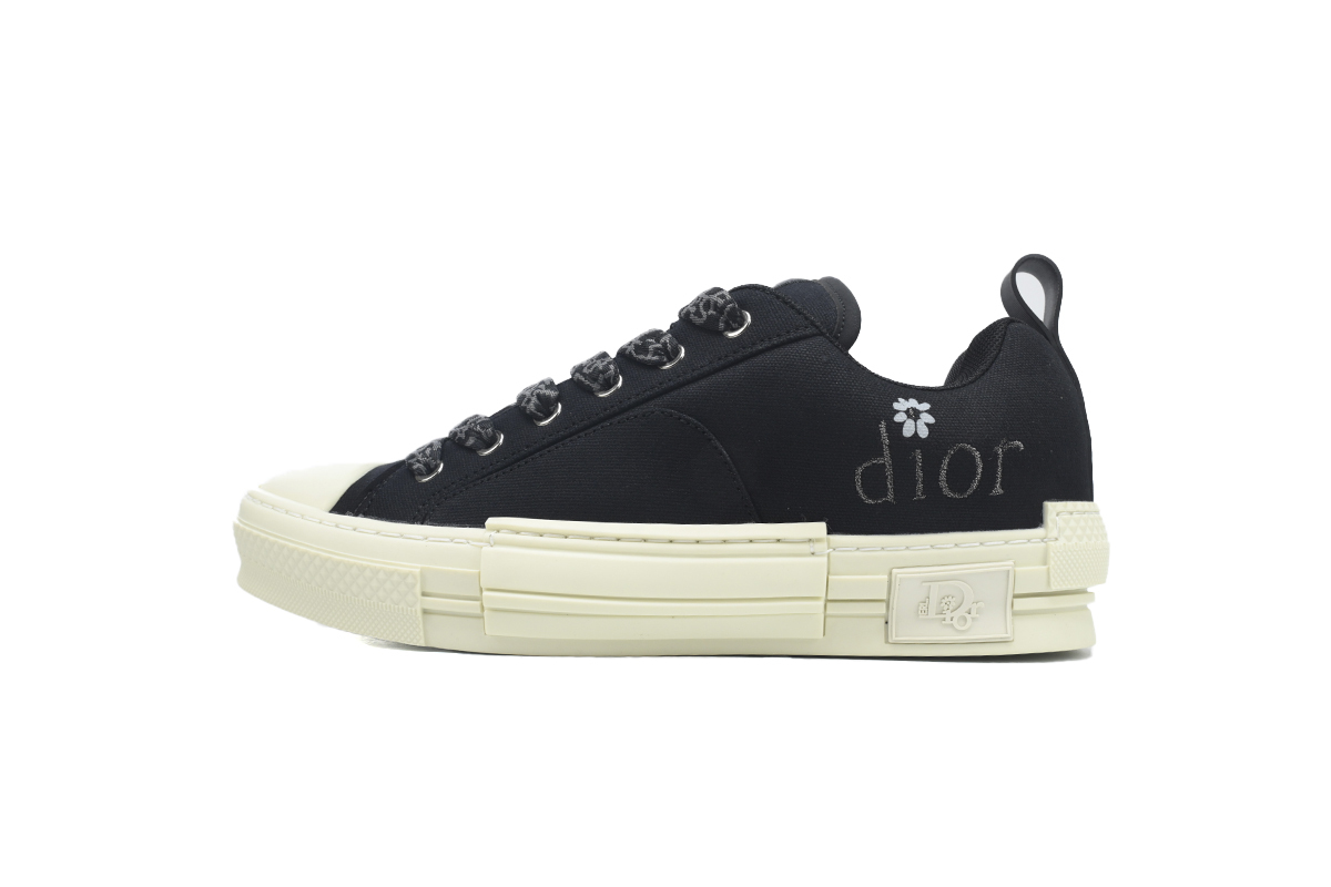 ERL x Dior B23