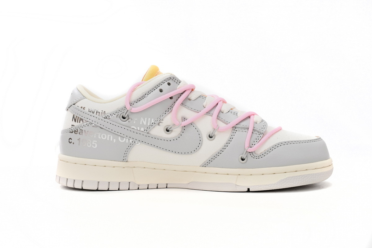 OFF WHITE x Nike Dunk SB Low The 50 NO.09 DM1602-109
