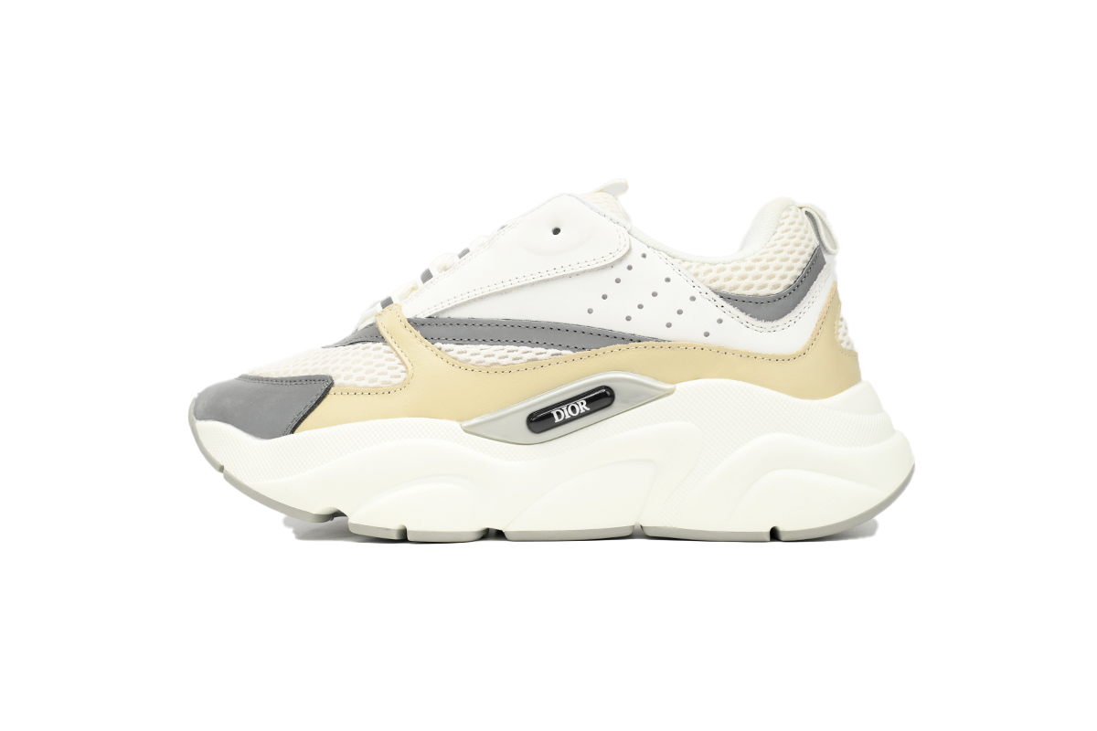 Dior White Blue Black B22 Sneakers Cream