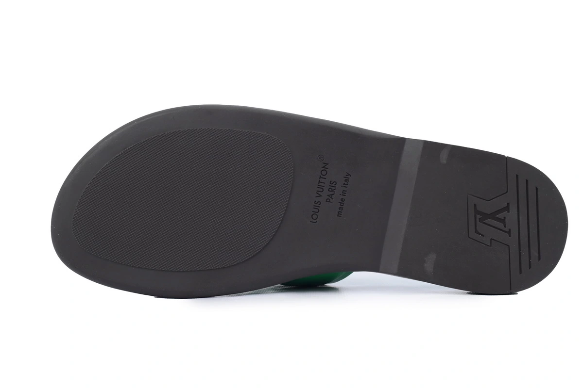 Louis Vuitton Oasis Green Glossy Surface