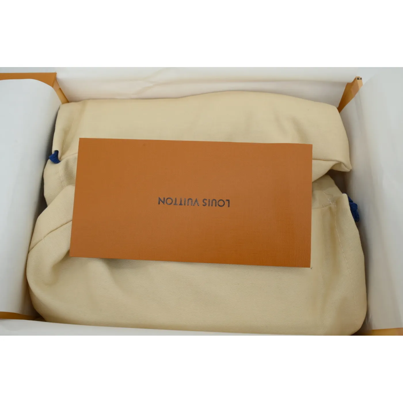 Louis Vuitton LV Skate Slate Blue